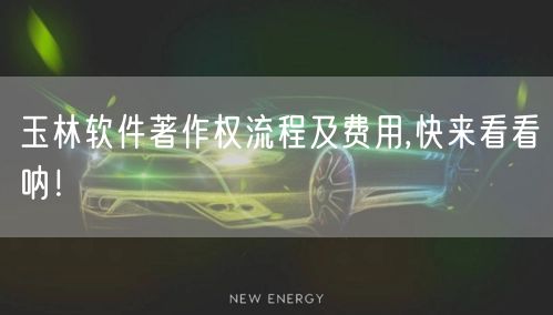 玉林软件著作权流程及费用,快来看看呐！