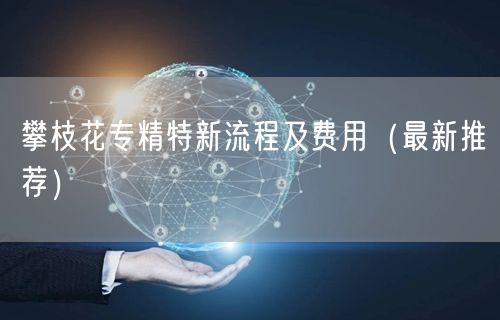 攀枝花专精特新流程及费用（最新推荐）