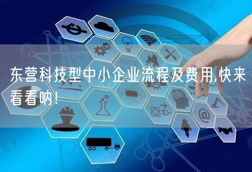 东营科技型中小企业流程及费用,快来看看呐！