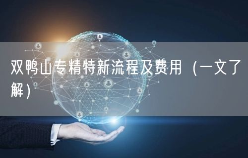 双鸭山专精特新流程及费用（一文了解）