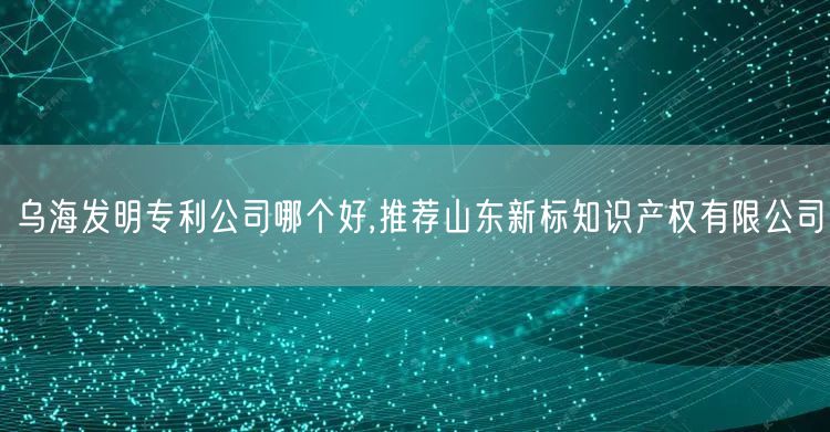 乌海发明专利公司哪个好,推荐山东新标知识产权有限公司
