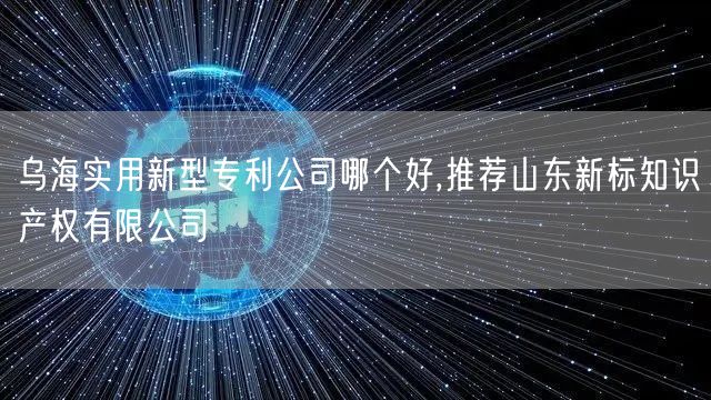 乌海实用新型专利公司哪个好,推荐山东新标知识产权有限公司