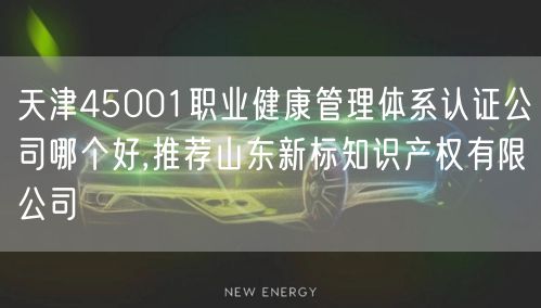 天津45001职业健康管理体系认证公司哪个好,推荐山东新标知识产权有限公司
