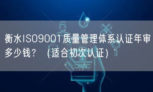 衡水ISO9001质量管理体系认证年审多少钱？（适合初次认证）