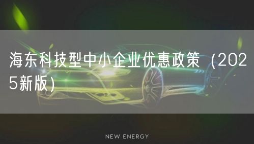 海东科技型中小企业优惠政策（2026新版）