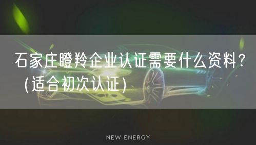 石家庄瞪羚企业认证需要什么资料,（适合初次认证）
