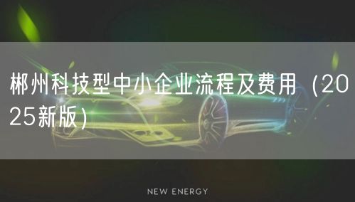 郴州科技型中小企业流程及费用（2026新版）
