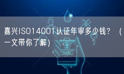 嘉兴ISO14001认证年审多少钱,（一文带你了解）