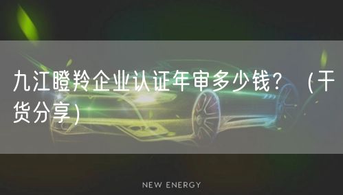 九江瞪羚企业认证年审多少钱,（干货分享）