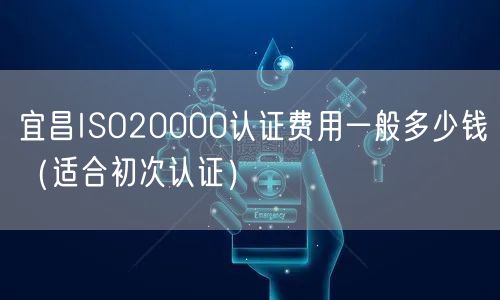 宜昌ISO20000认证费用一般多少钱（适合初次认证）