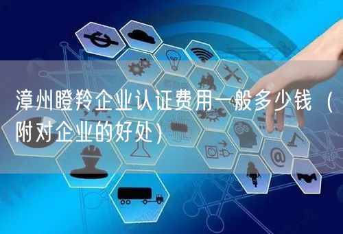 漳州瞪羚企业认证费用一般多少钱（附对企业的好处）