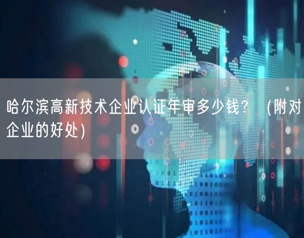 哈尔滨高新技术企业认证年审多少钱,（附对企业的好处）