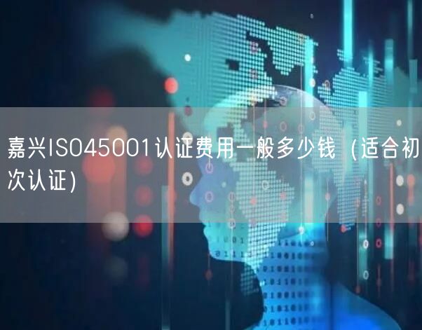 嘉兴ISO45001认证费用一般多少钱（适合初次认证）