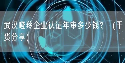 武汉瞪羚企业认证年审多少钱,（干货分享）