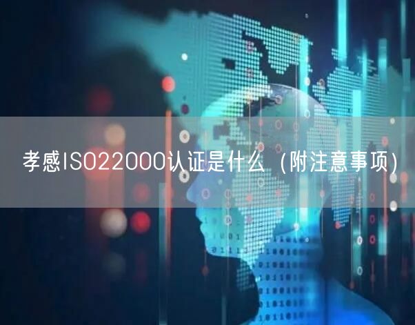 孝感ISO22000认证是什么（附注意事项）
