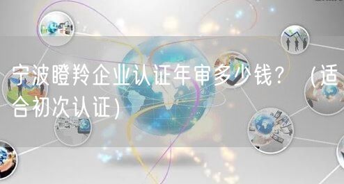 宁波瞪羚企业认证年审多少钱,（适合初次认证）