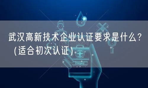 武汉高新技术企业认证要求是什么,（适合初次认证）