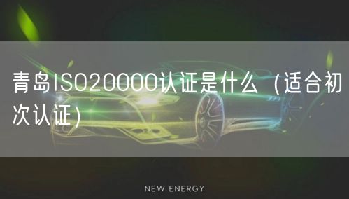 青岛ISO20000认证是什么（适合初次认证）