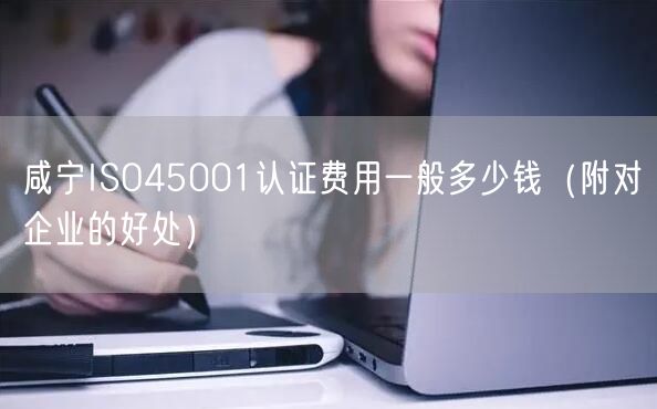 咸宁ISO45001认证费用一般多少钱（附对企业的好处）