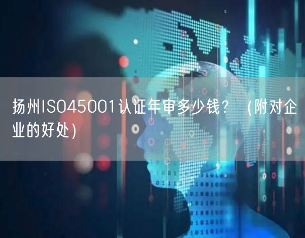 扬州ISO45001认证年审多少钱,（附对企业的好处）
