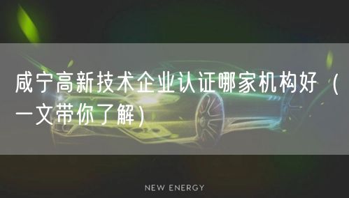 咸宁高新技术企业认证哪家机构好（一文带你了解）