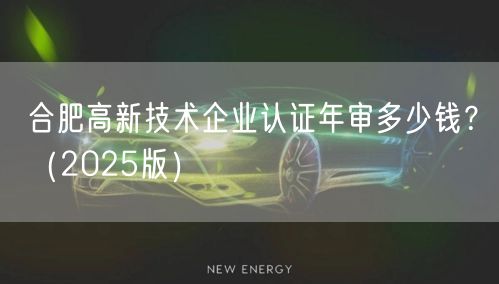 合肥高新技术企业认证年审多少钱,（2026版）