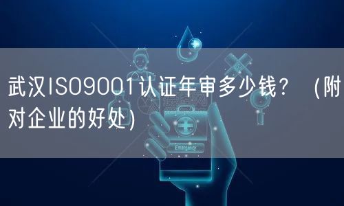 武汉ISO9001认证年审多少钱,（附对企业的好处）