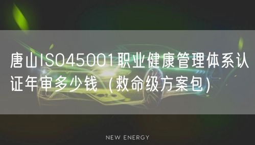 唐山ISO45001职业健康管理体系认证年审多少钱（救命级方案包）