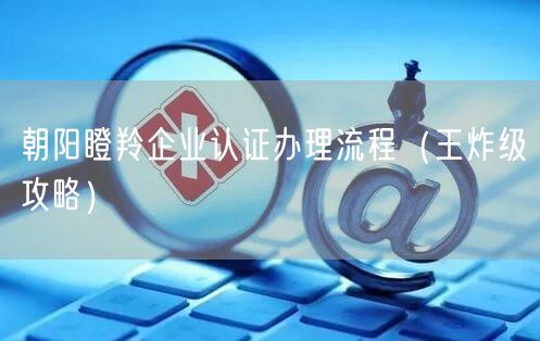 朝阳瞪羚企业认证办理流程（王炸级攻略）