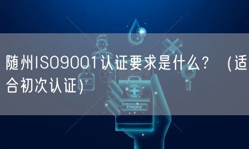 随州ISO9001认证要求是什么,（适合初次认证）