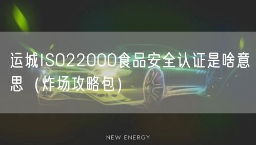 运城ISO22000食品安全认证是啥意思（炸场攻略包）