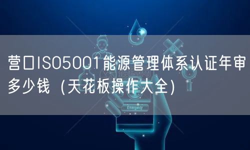 营口ISO5001能源管理体系认证年审多少钱（天花板操作大全）