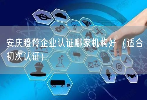 安庆瞪羚企业认证哪家机构好（适合初次认证）