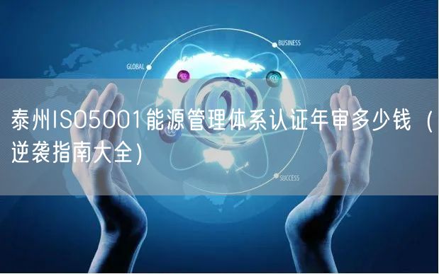 泰州ISO5001能源管理体系认证年审多少钱（指南大全）