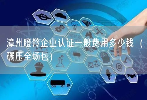 漳州瞪羚企业认证一般费用多少钱（碾压全场包）