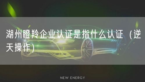 湖州瞪羚企业认证是指什么认证（逆天操作）