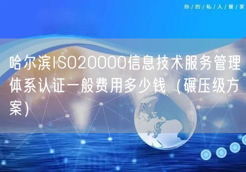 哈尔滨ISO20000信息技术服务管理体系认证一般费用多少钱（碾压级方案）