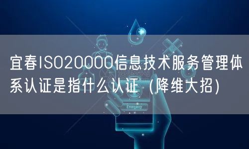 宜春ISO20000信息技术服务管理体系认证是指什么认证（降维大招）