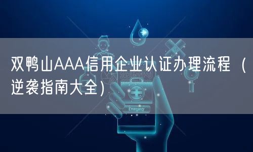 双鸭山AAA信用企业认证办理流程（指南大全）