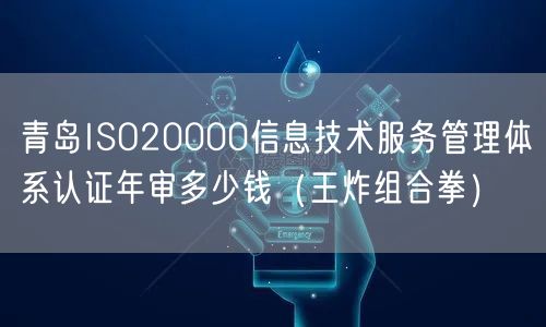 青岛ISO20000信息技术服务管理体系认证年审多少钱（王炸组合拳）