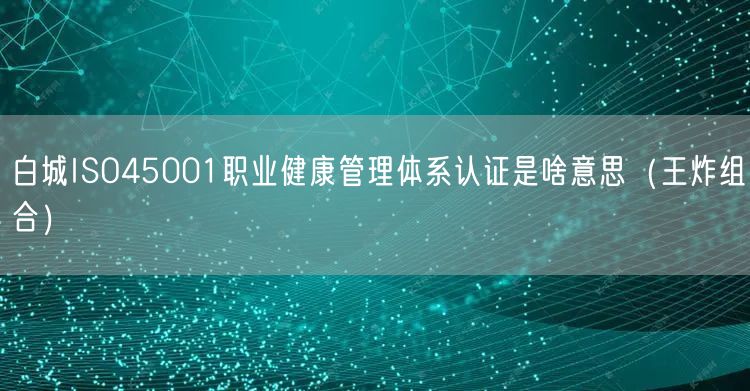 白城ISO45001职业健康管理体系认证是啥意思（王炸组合）