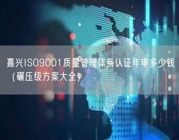 嘉兴ISO9001质量管理体系认证年审多少钱（碾压级方案大全）