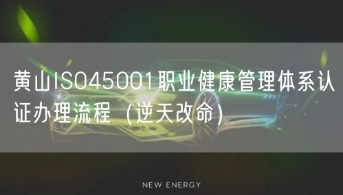黄山ISO45001职业健康管理体系认证办理流程（逆天改命）