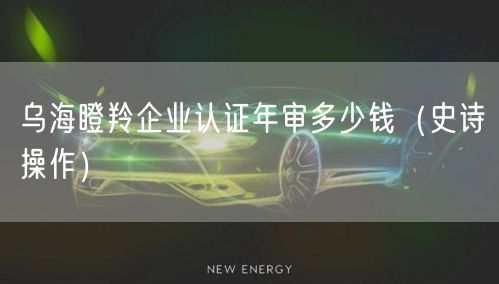 乌海瞪羚企业认证年审多少钱（史诗操作）