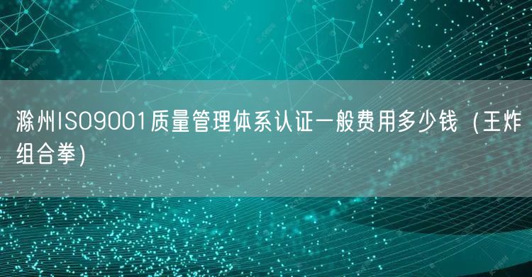 滁州ISO9001质量管理体系认证一般费用多少钱（王炸组合拳）