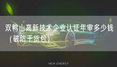 双鸭山高新技术企业认证年审多少钱（破防干货包）