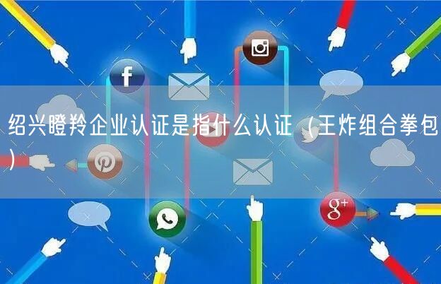 绍兴瞪羚企业认证是指什么认证（王炸组合拳包）