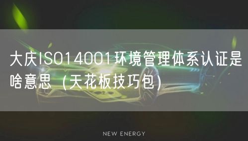 大庆ISO14001环境管理体系认证是啥意思（天花板技巧包）