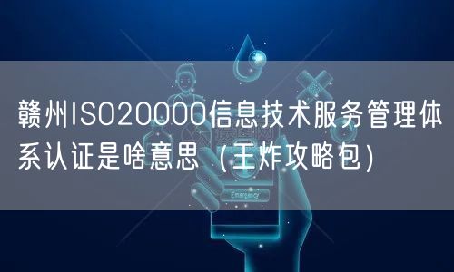 赣州ISO20000信息技术服务管理体系认证是啥意思（王炸攻略包）