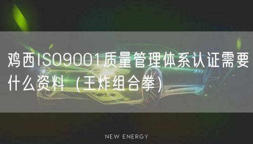鸡西ISO9001质量管理体系认证需要什么资料（王炸组合拳）
